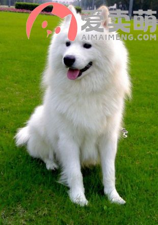 1111111111111111111111